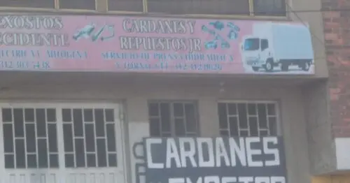 CRADANES Y EXOSTOS JR CRADANES Y EXOSTOS JR